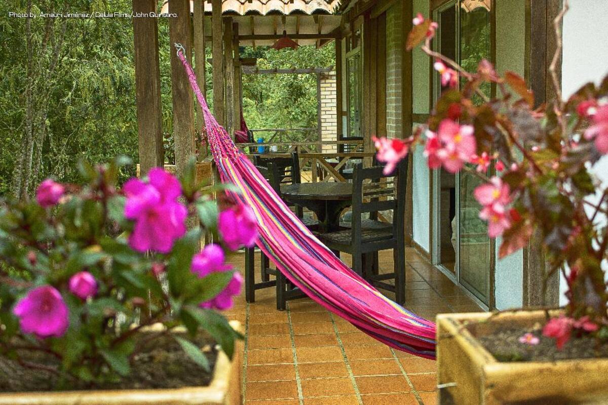 En estas piscinas termales, ubicadas en Santa Rosa de Cabal, se sentirá el placer del calor y las sales naturales; más que entretenimiento proporciona salud y bienestar.