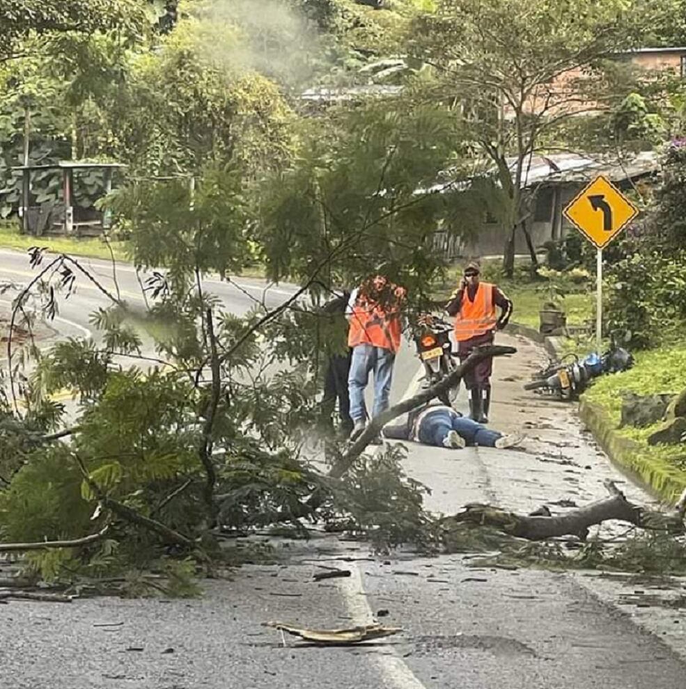 Una mujer está entre la vida y la muerte luego de caerle un árbol en su humanidad