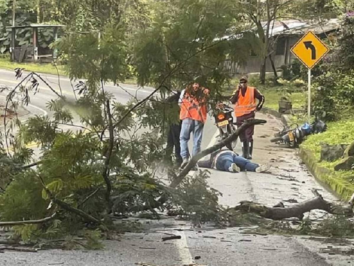 Mujer está entre la vida y la muerte al caerle un árbol en su humanidad
