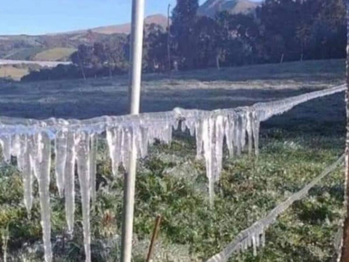 Heladas afectaron el sur de Nariño