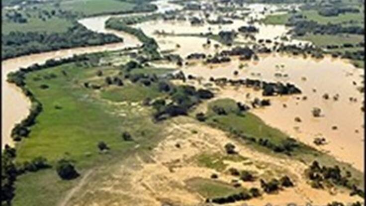 Ola invernal deja pérdidas por más de 1 billón de pesos entre los ganaderos