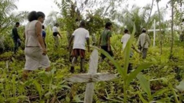 Detectan irregularidades en entrega de tierras en Urabá, Norte de Santander, Meta, Vichada y Guainía