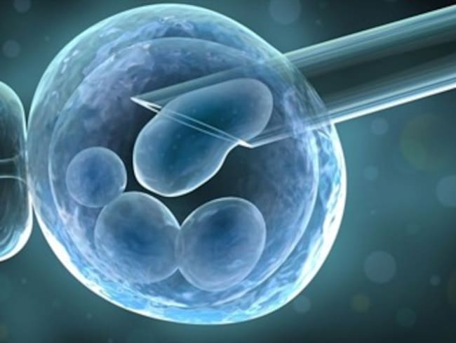 Clonar células madres permitirá curar más enfermedades: Shoukhrat Mitalipov