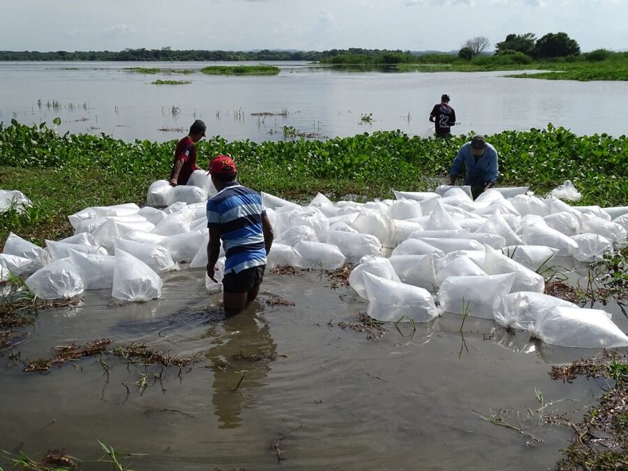 Fuerza Naval del Caribe