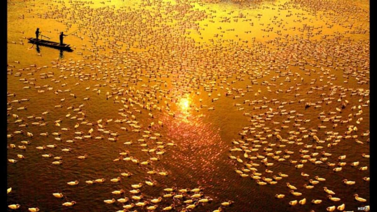 Foto por Jingsheng Nie, China.