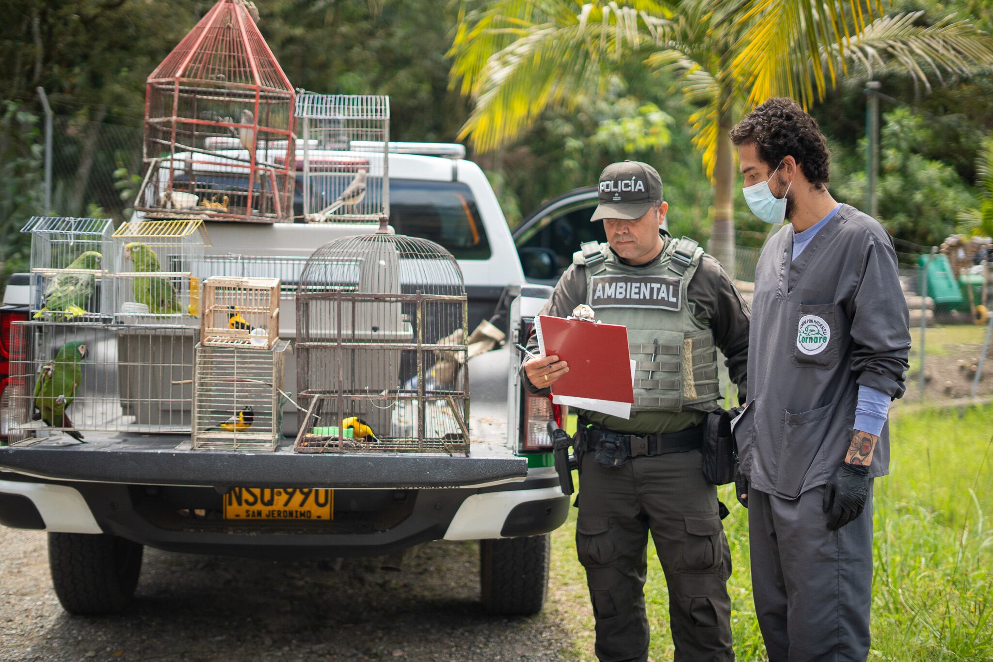 Aves rescatadas en Guarne- foto Cornare