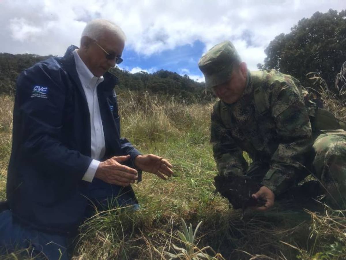 La CVC y el Ejército se unen para sembrar frailejones