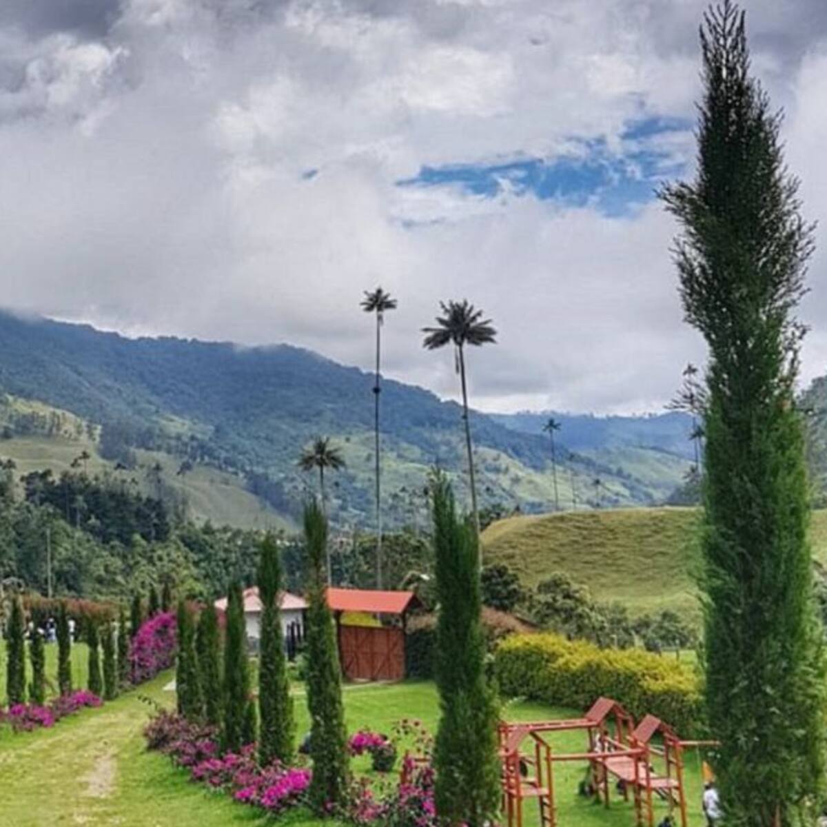 En Quindío advierten de afectación ecológica en Cocora por el turismo