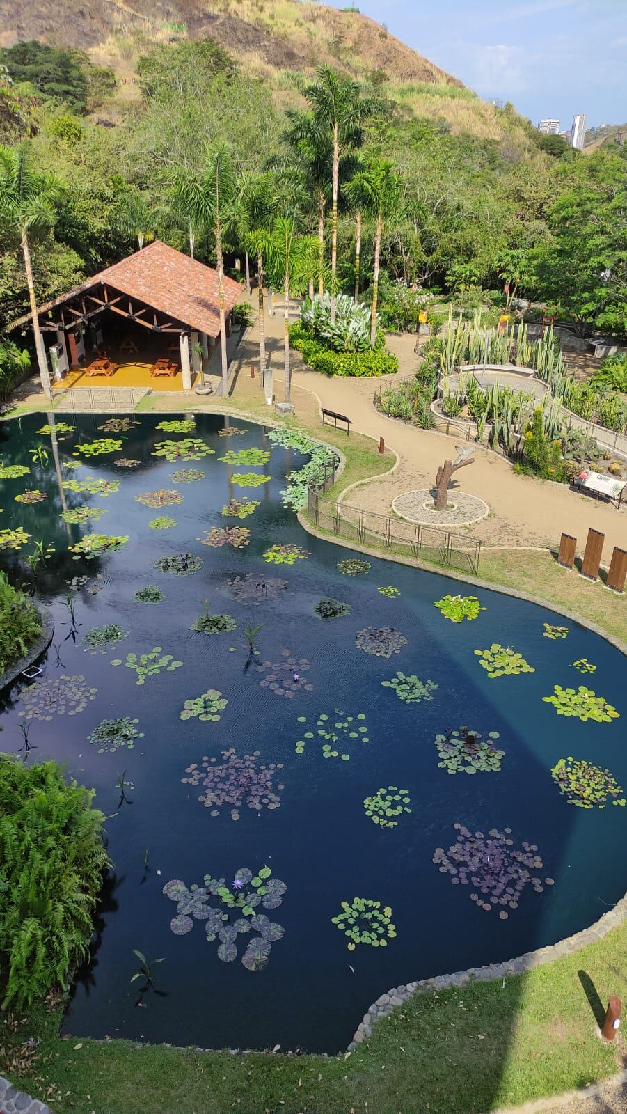 Jardín Botánico de Cali /Foto: Caracol Radio