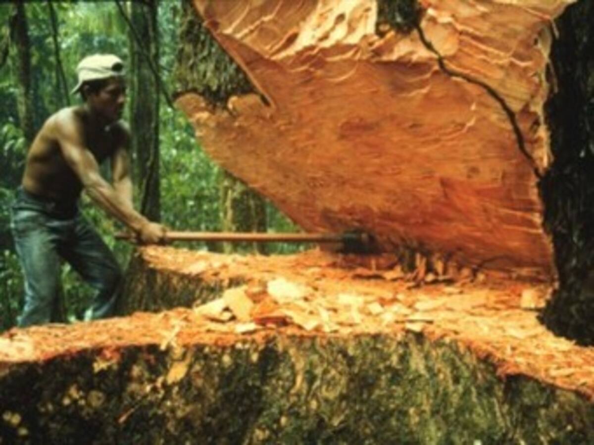 Ecuador presenta sistema para detectar y reparar daños ambientales en el país