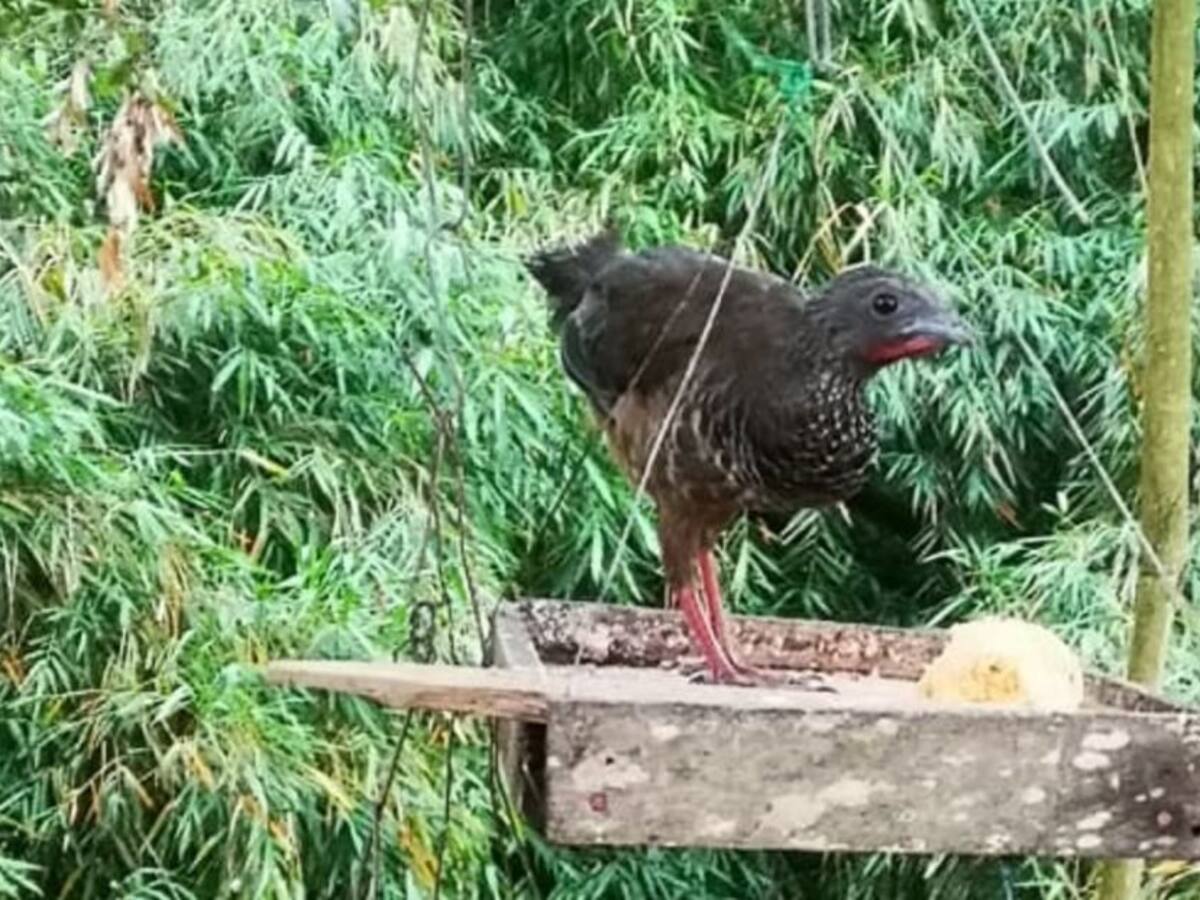 Lunes 1 de junio, las noticias más importantes de Armenia y el Quindío