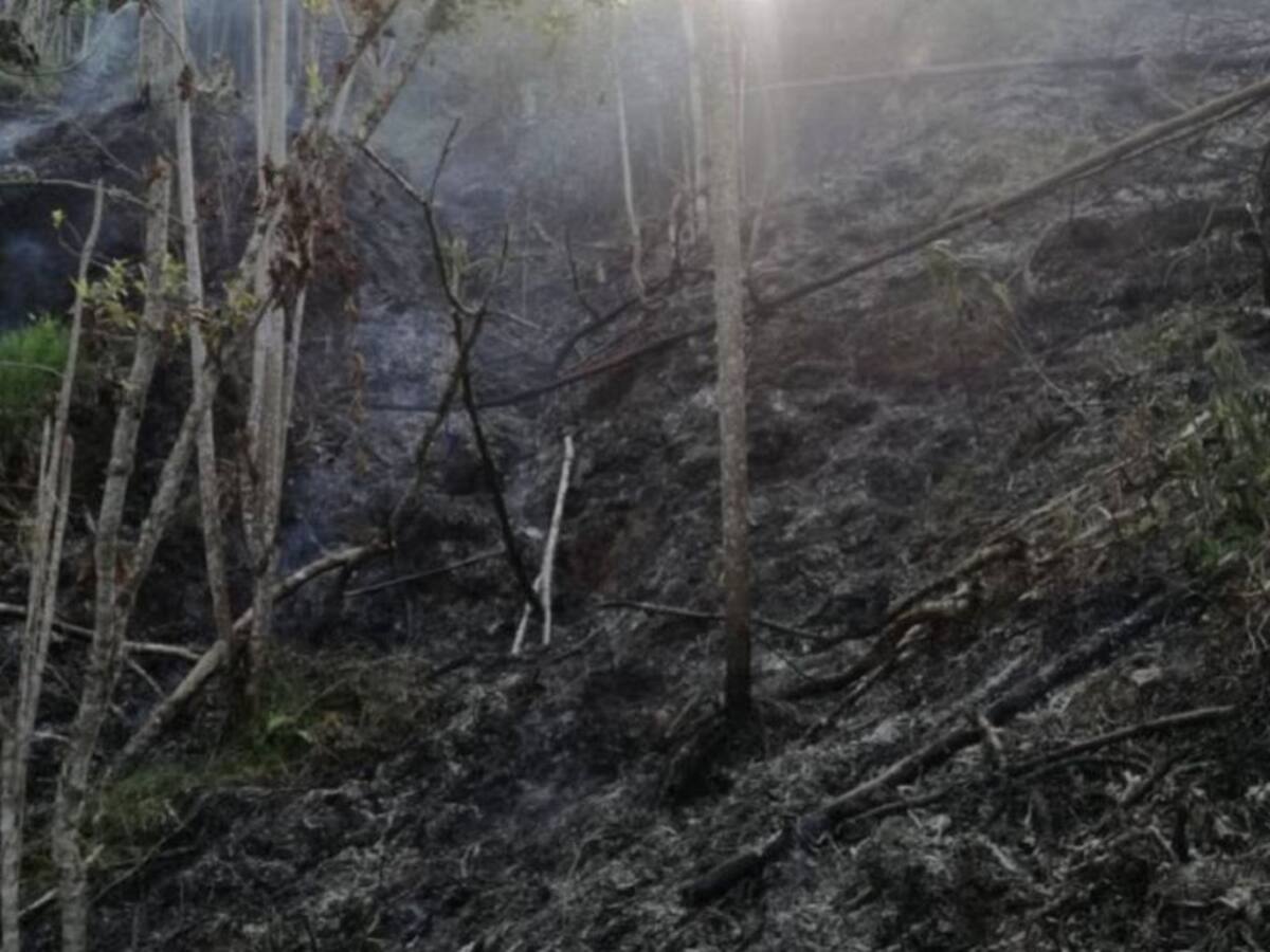 El grupo de bomberos indígenas de Caldas, apoya la mitigación de incendios