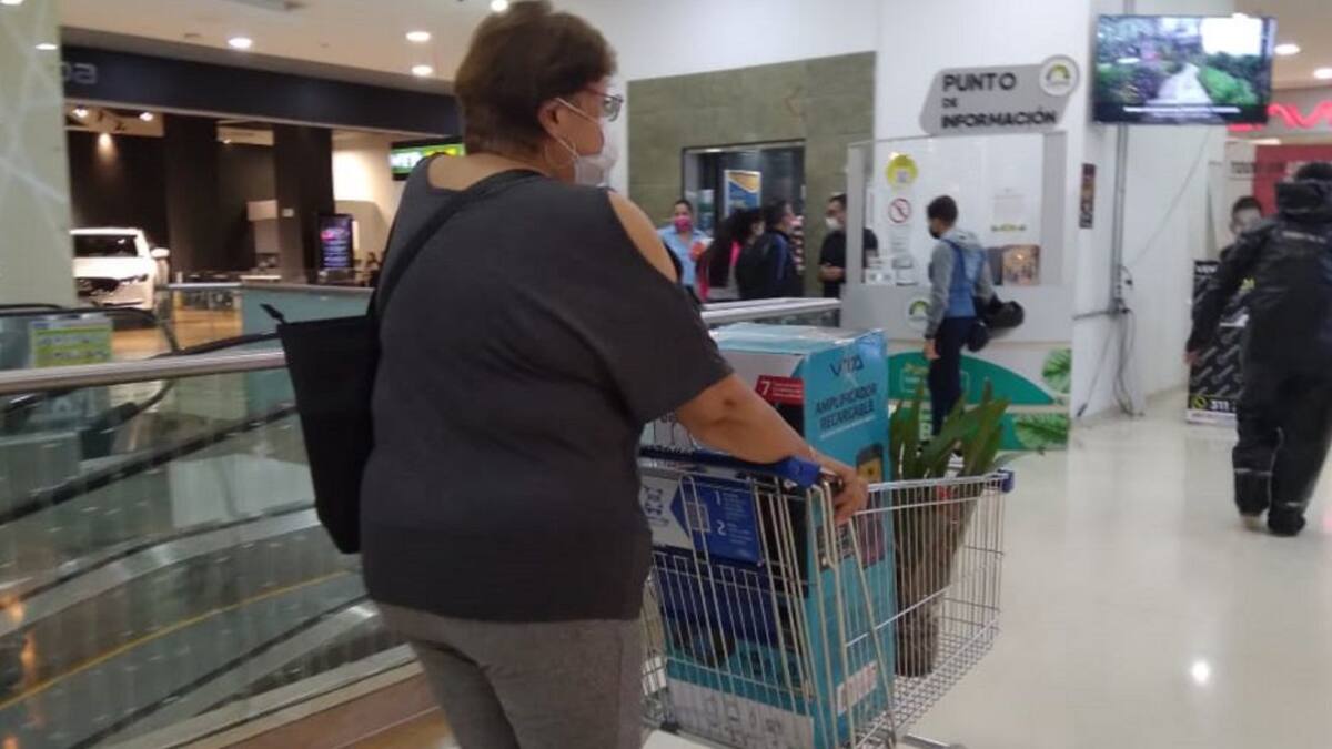 Informe día sin IVA