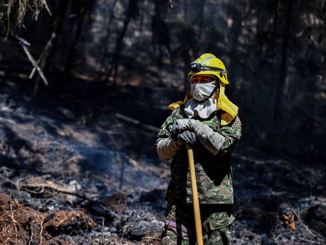 Fenómeno de El Niño, incendios y sostenibilidad para ayudar a la población carcelaria