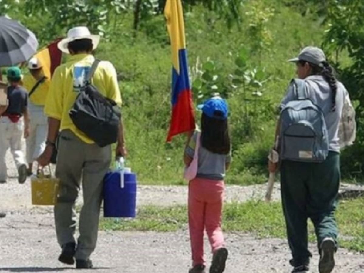 99 mil desplazados tiene la región del Catatumbo