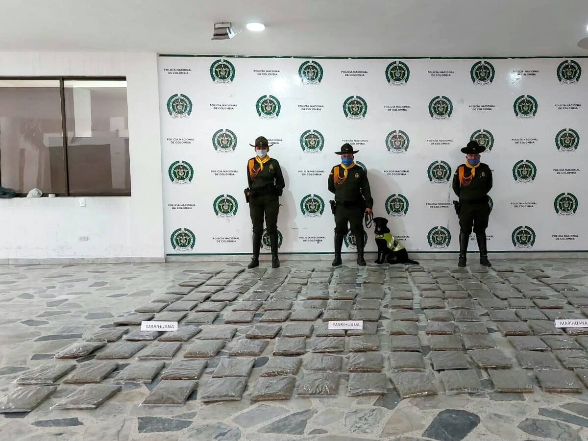 Incautan cargamento de marihuana en Ibagué