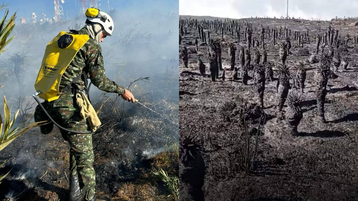 Emergencia por incendio en el Páramo de Berlín: helicópteros descargan agua para controlar