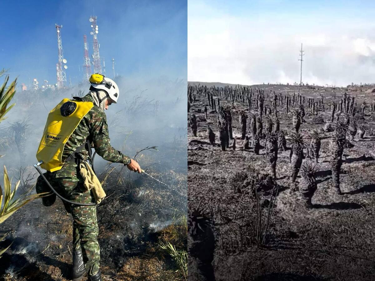 Emergencia por incendio en el Páramo de Berlín: helicópteros descargan agua para controlar