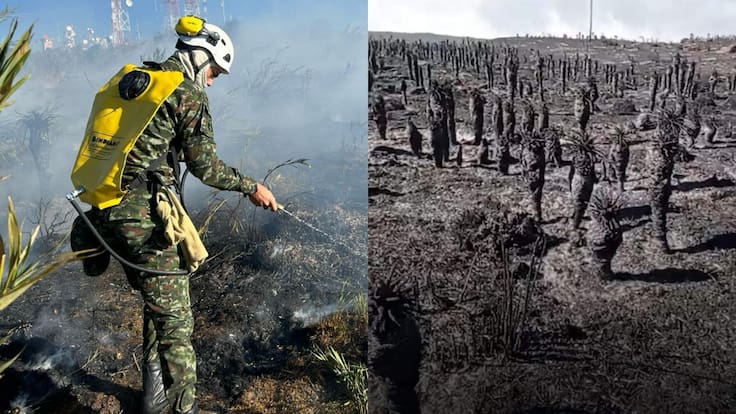 Emergencia por incendio en el Páramo de Berlín: helicópteros descargan agua para controlar