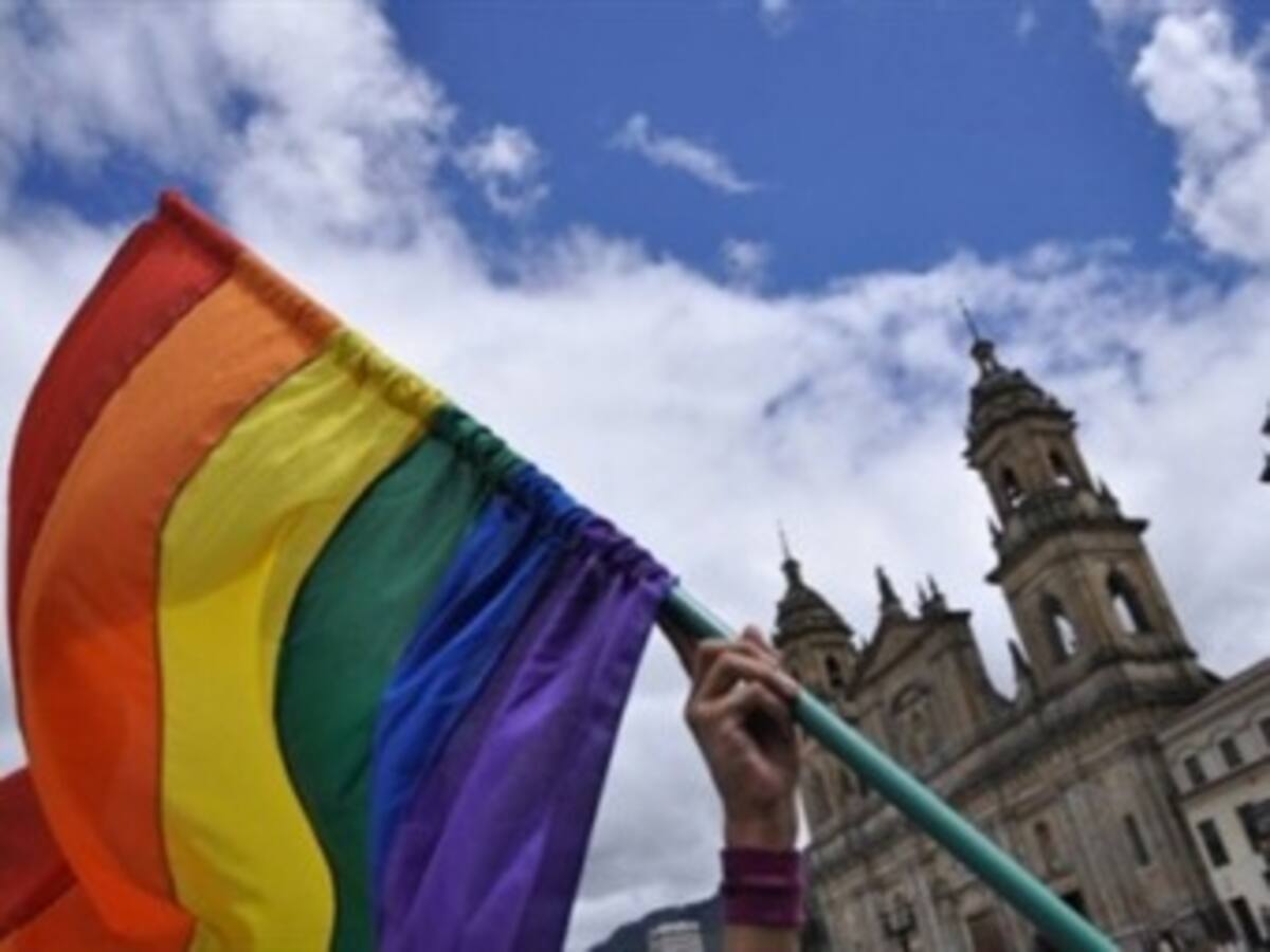 Congresistas denuncian "presiones" para votar proyecto sobre matrimonio homosexual