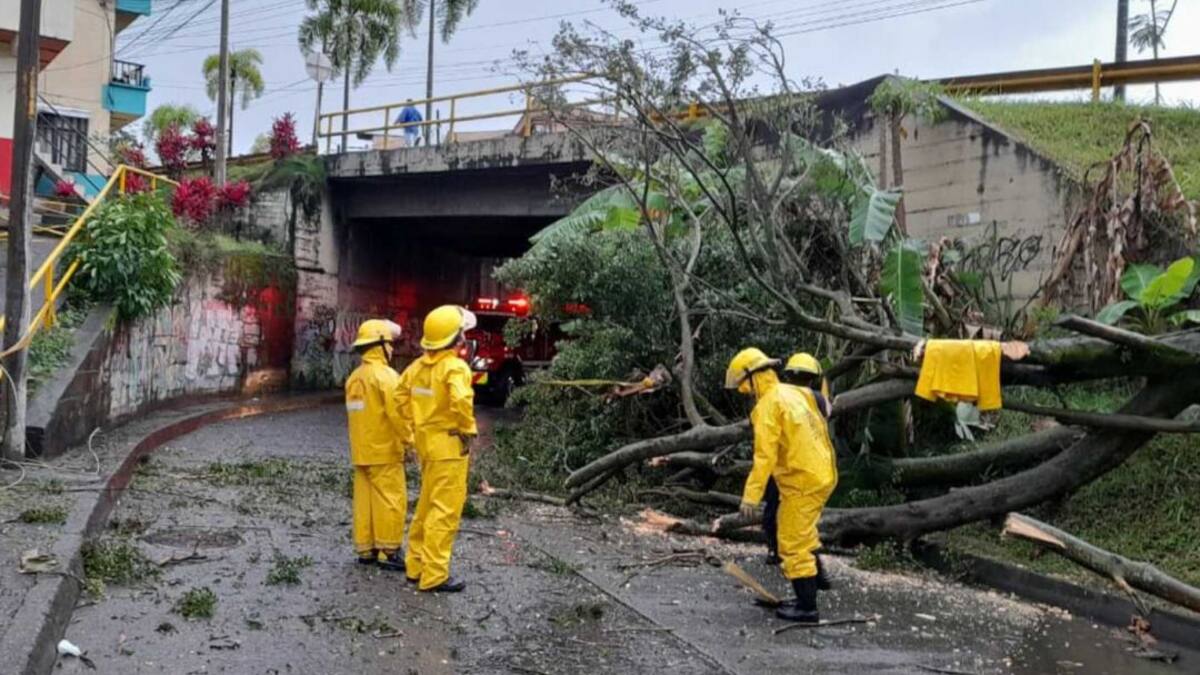 Seis municipios de Risaralda afectados por fuertes vendavales