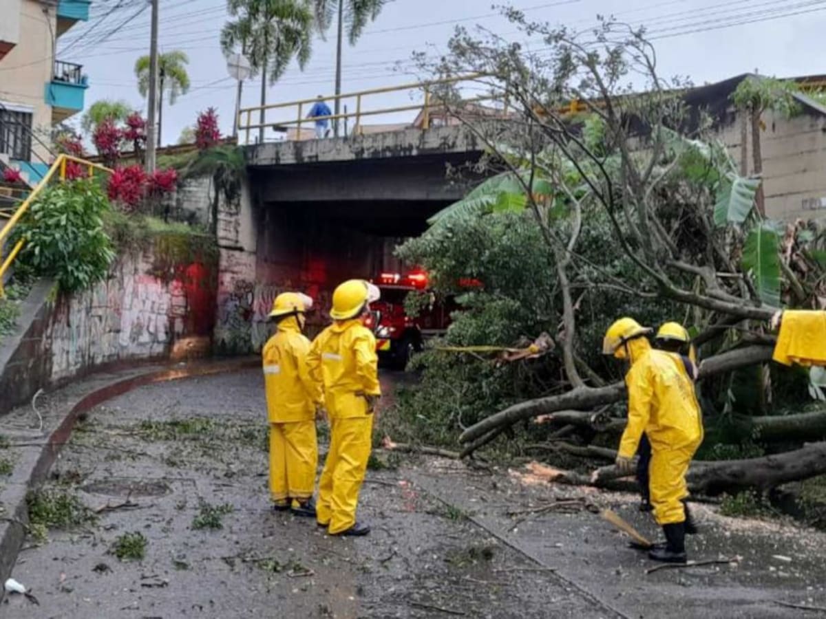 Seis municipios de Risaralda afectados por fuertes vendavales