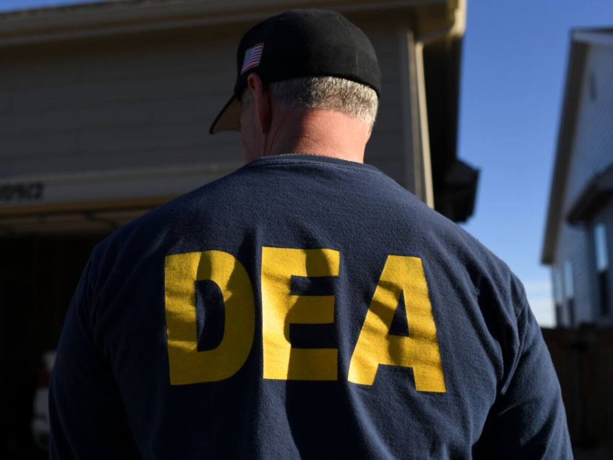 Informe DEA reconoció avances en reducción de cultivos ilícitos en Colombia