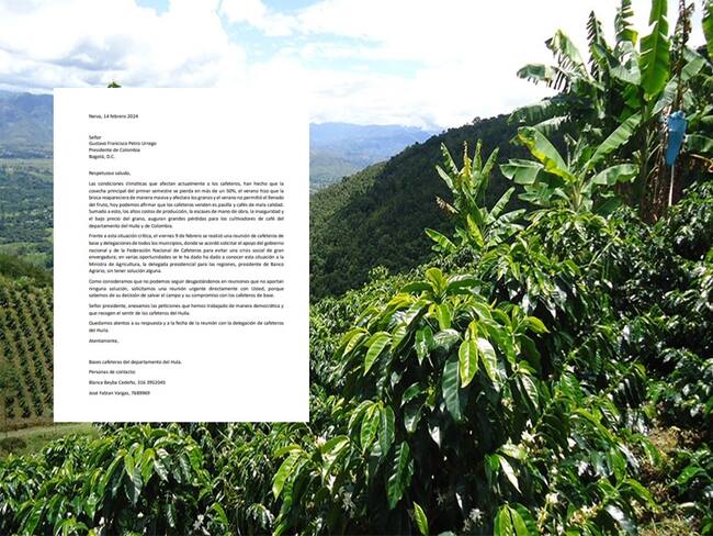 En el documento indica que consideran que no pueden seguir desgastándose en reuniones que no aportan ninguna solución, por lo cual solicitan una reunión urgente directamente con el presidente de Colombia.