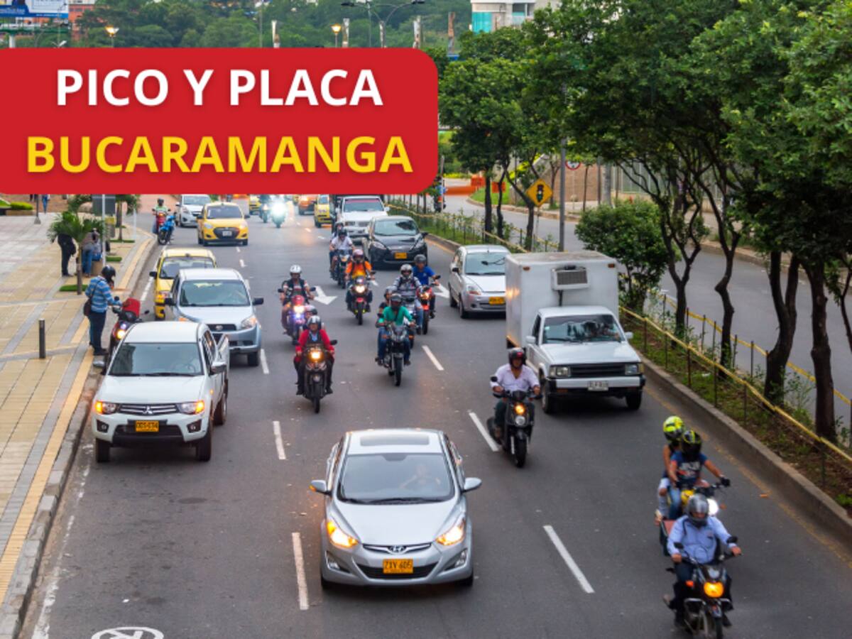 Pico y placa en Bucaramanga este 7 de diciembre: Prepárese para el día de velitas