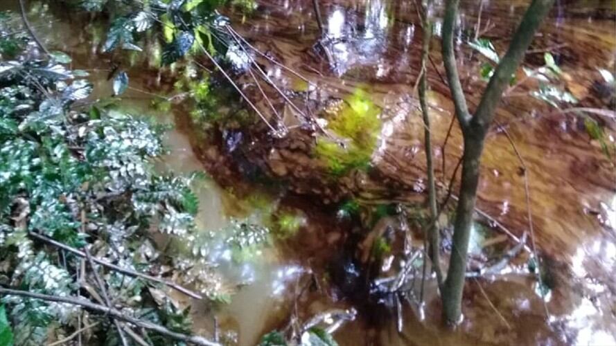 El hecho produjo caída del crudo en capa vegetal en un área de más de 800 metros cuadrados. Foto: Ecopetrol