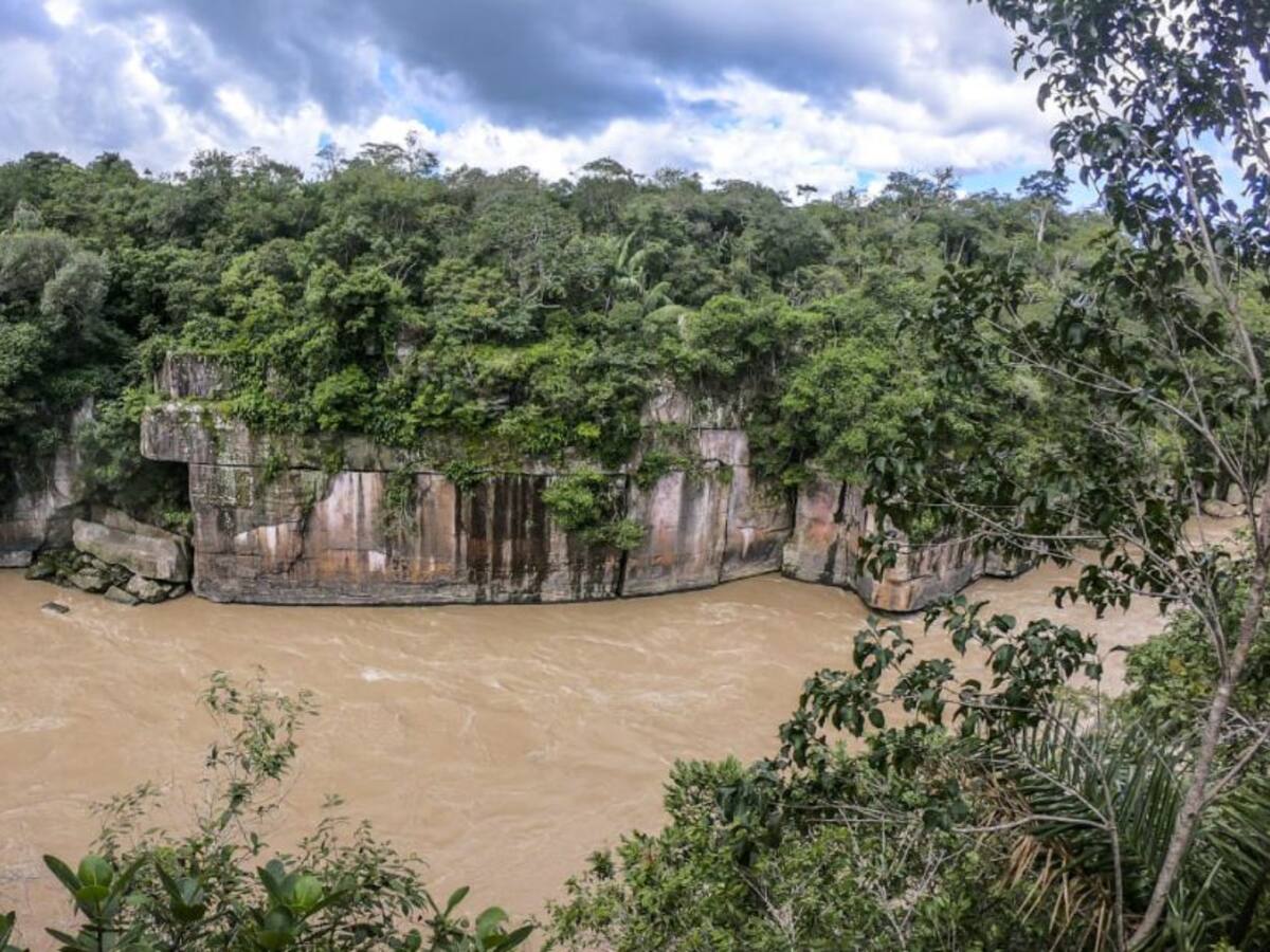 Inicia operación para recuperar el Parque Nacional Natural Tinigua