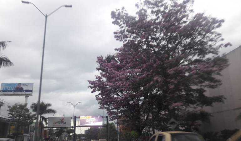 De lunes a viernes escuche 1150AM Las noticias de la región 