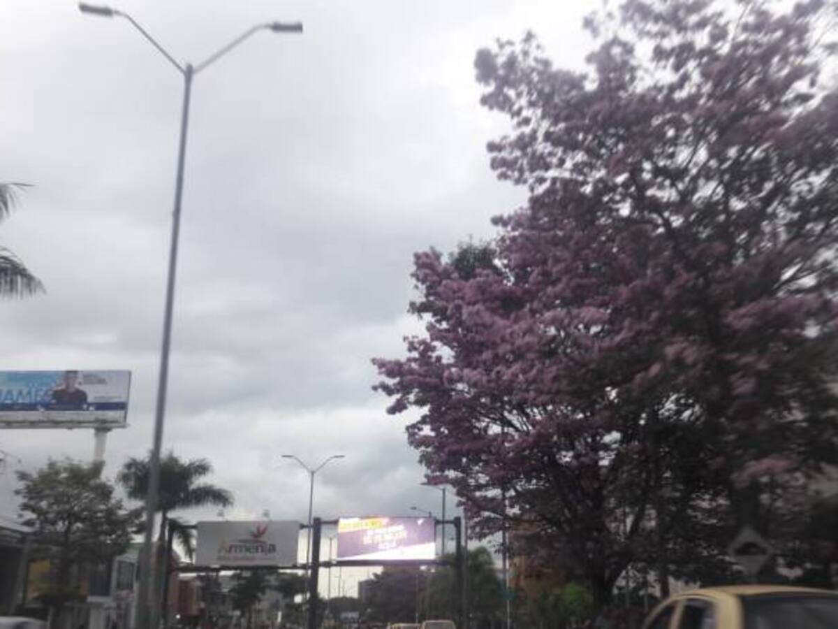 Lunes 30 de julio, las noticias más importantes de Armenia y Quindío