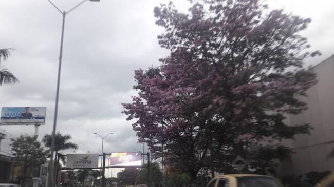 De lunes a viernes escuche 1150AM Las noticias de la región