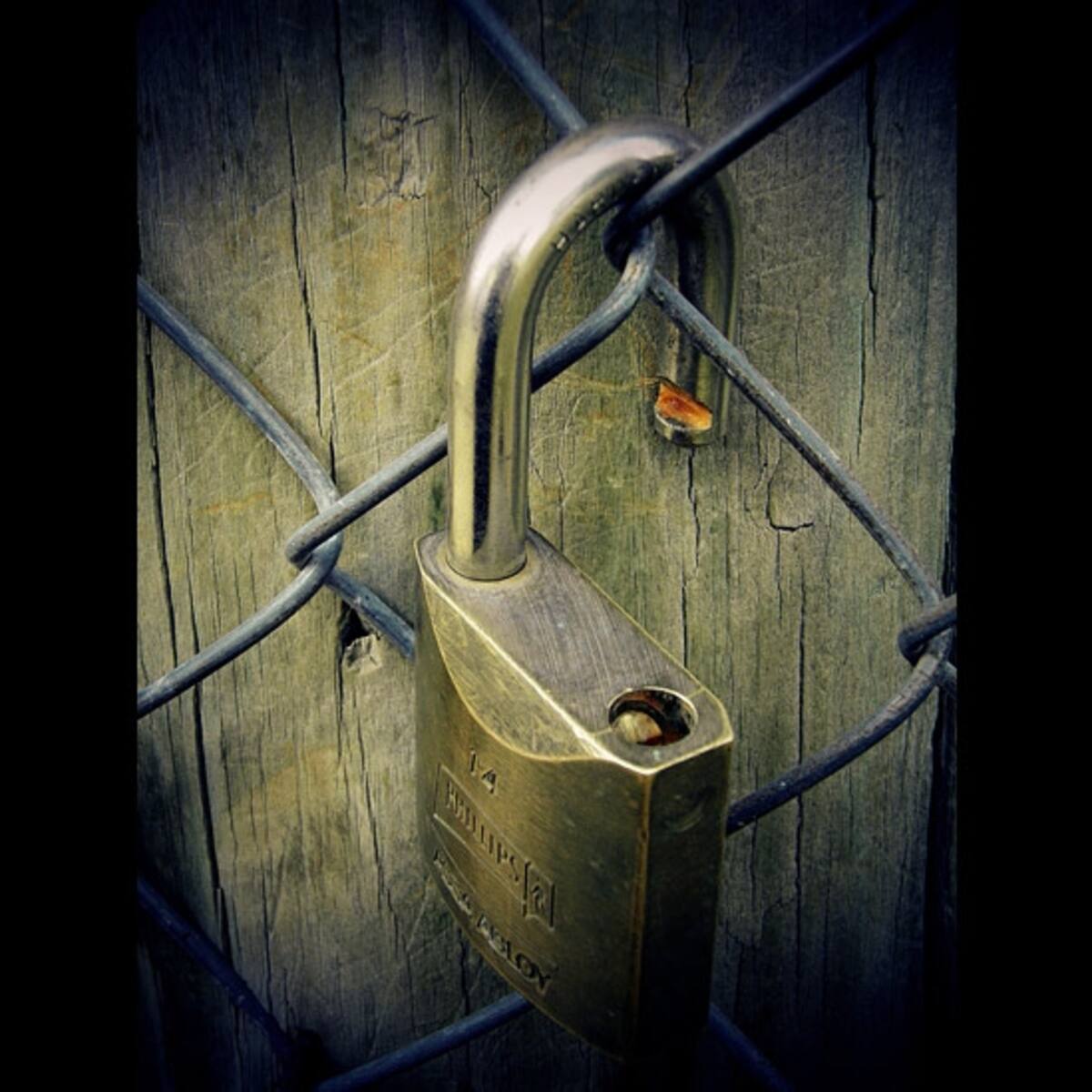 Un grupo de obreros trabaja en las alturas de un edificio protegidos con herramientas de seguridad. Foto: Juan A. Schamun