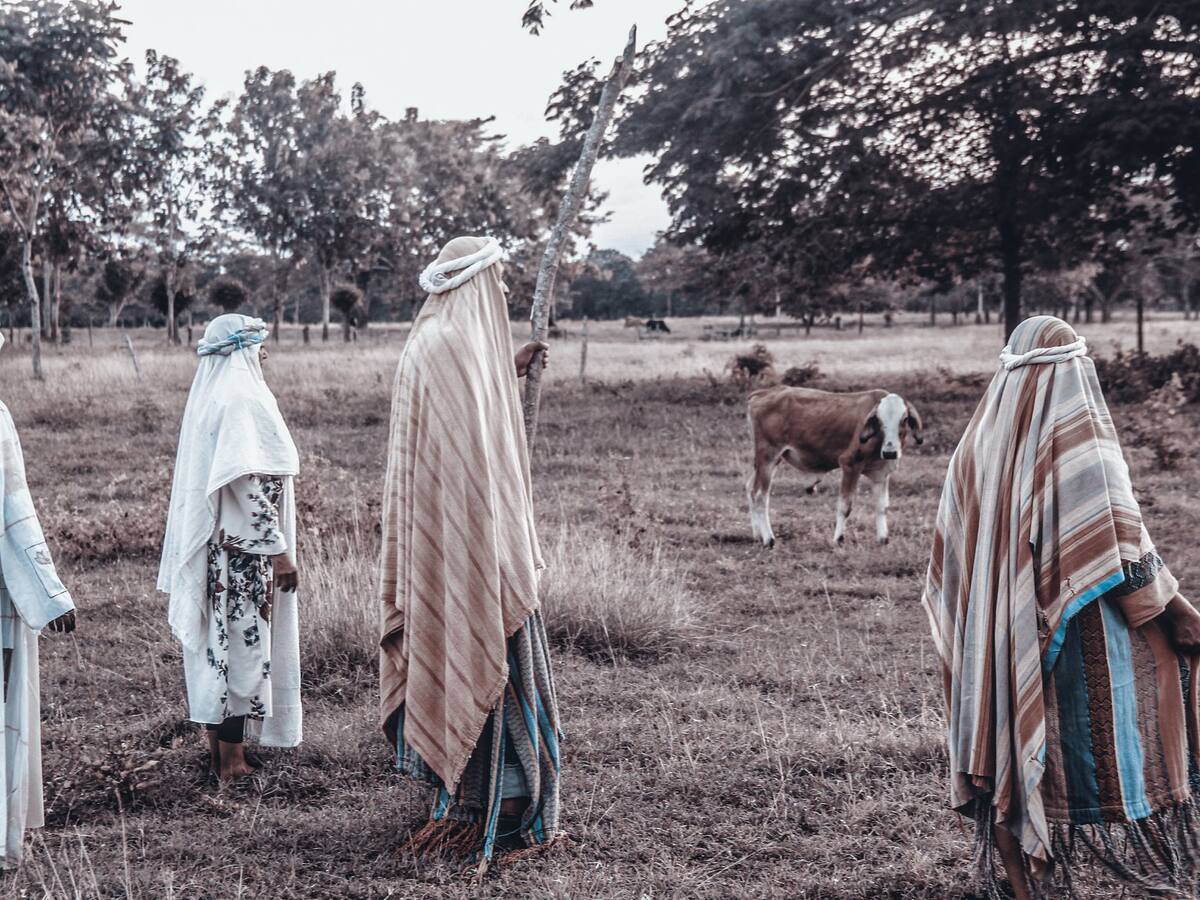 En Montería se abre desde hoy el pesebre vivo más grande de Iberoamérica