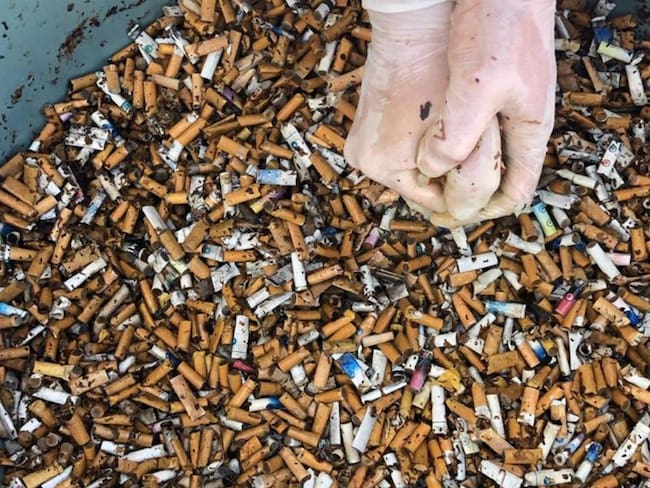 La nueva vida de las colillas de cigarrillo