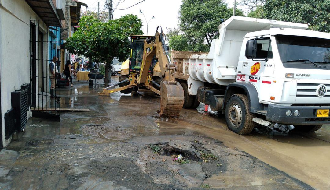 Imagen de referencia