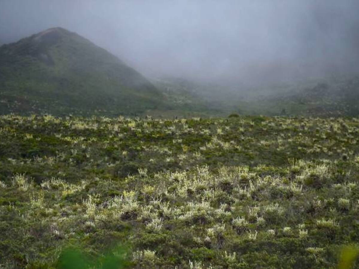 Unidad de Servicios Publicos asegura que no se intervendrá Sumapaz