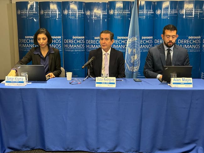Mecanismo Internacional de Expertos Independientes para Promover la Justicia e Igualdad Raciales de la ONU