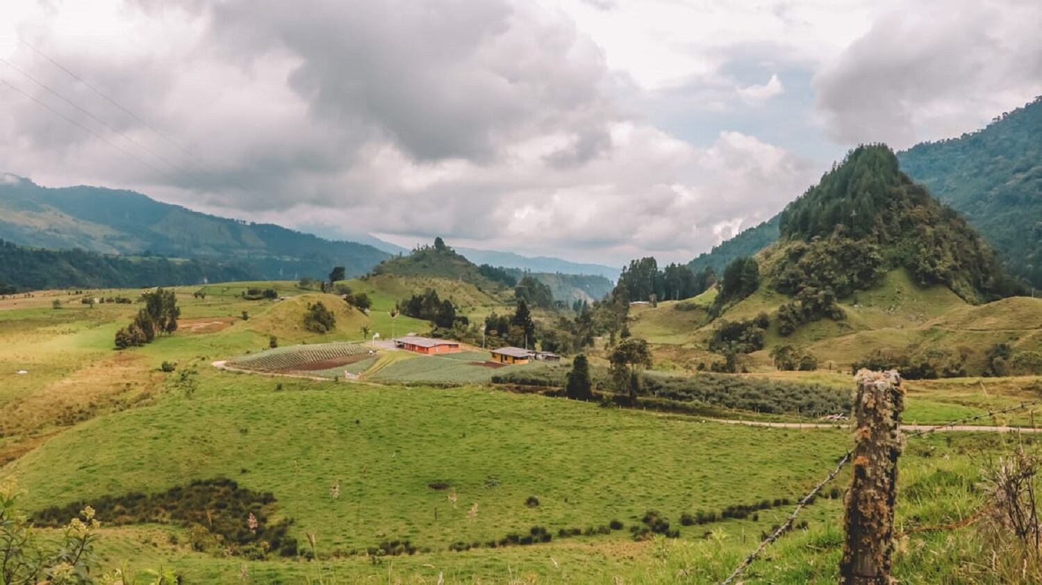 Crédito: Suministrada.