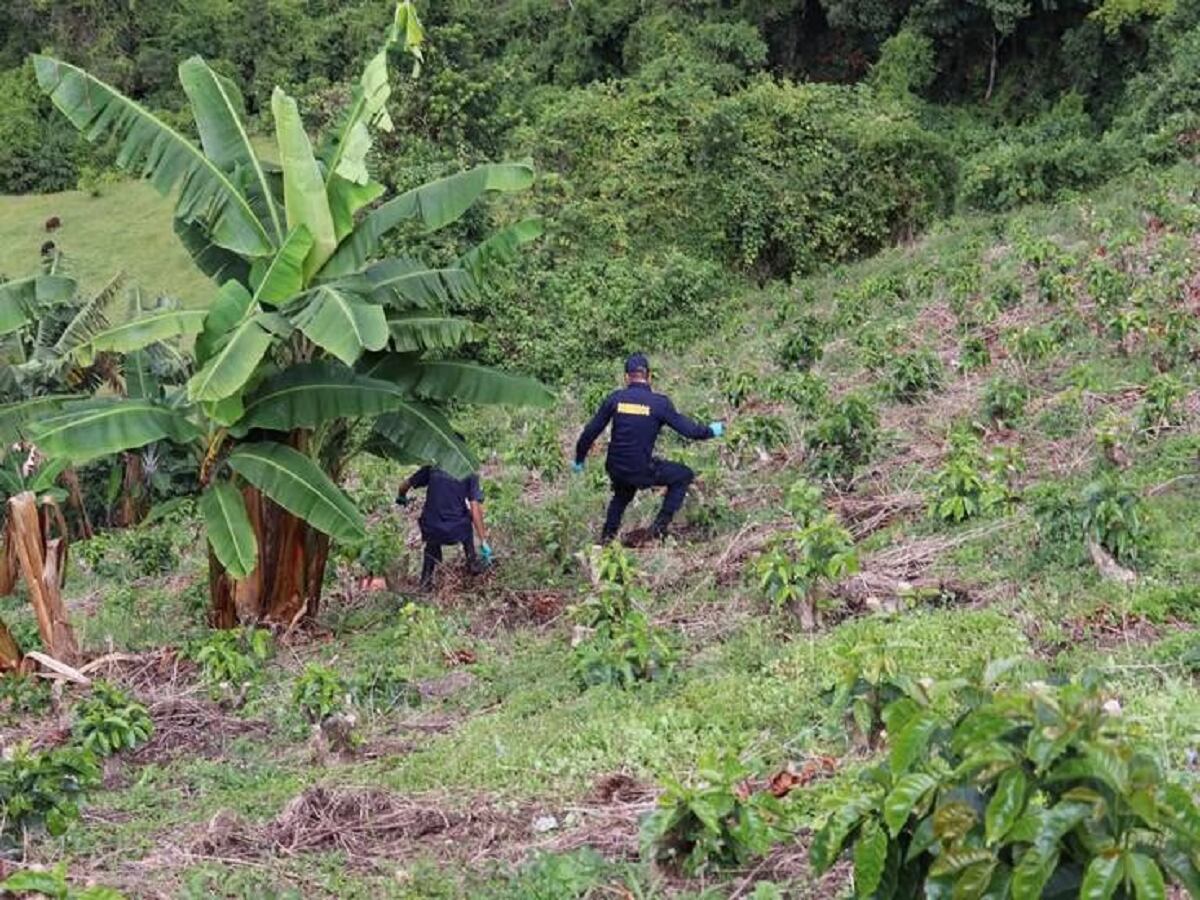 Crédito: Suministrada.