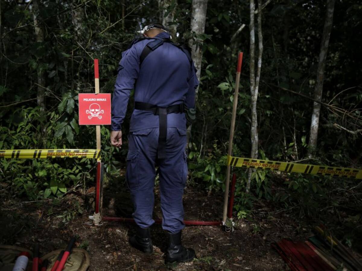 Disidencias triplicaron su producción de minas antipersona