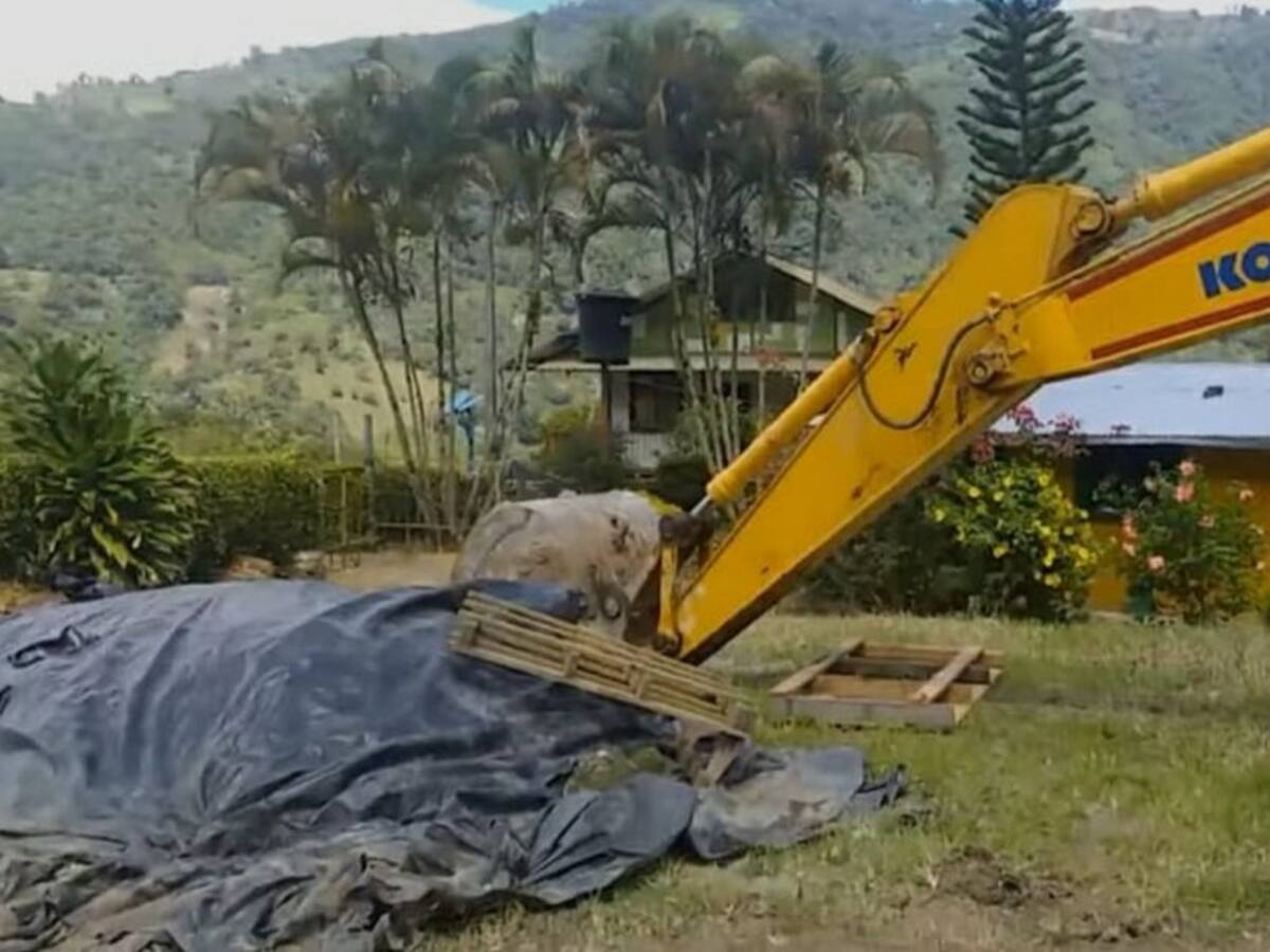 Denuncian afectaciones en fuentes hídricas por cultivos de aguacate hass