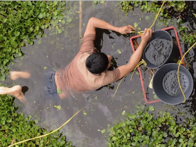 Alcaldía de Bogotá rechaza “instrumentalización” de humedales por parte de candidatos políticos