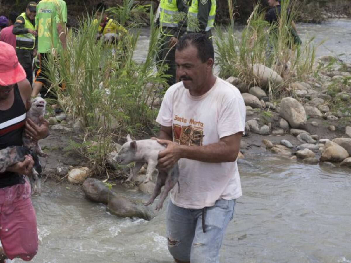 Con el SENA 163 deportados ya tienen trabajo