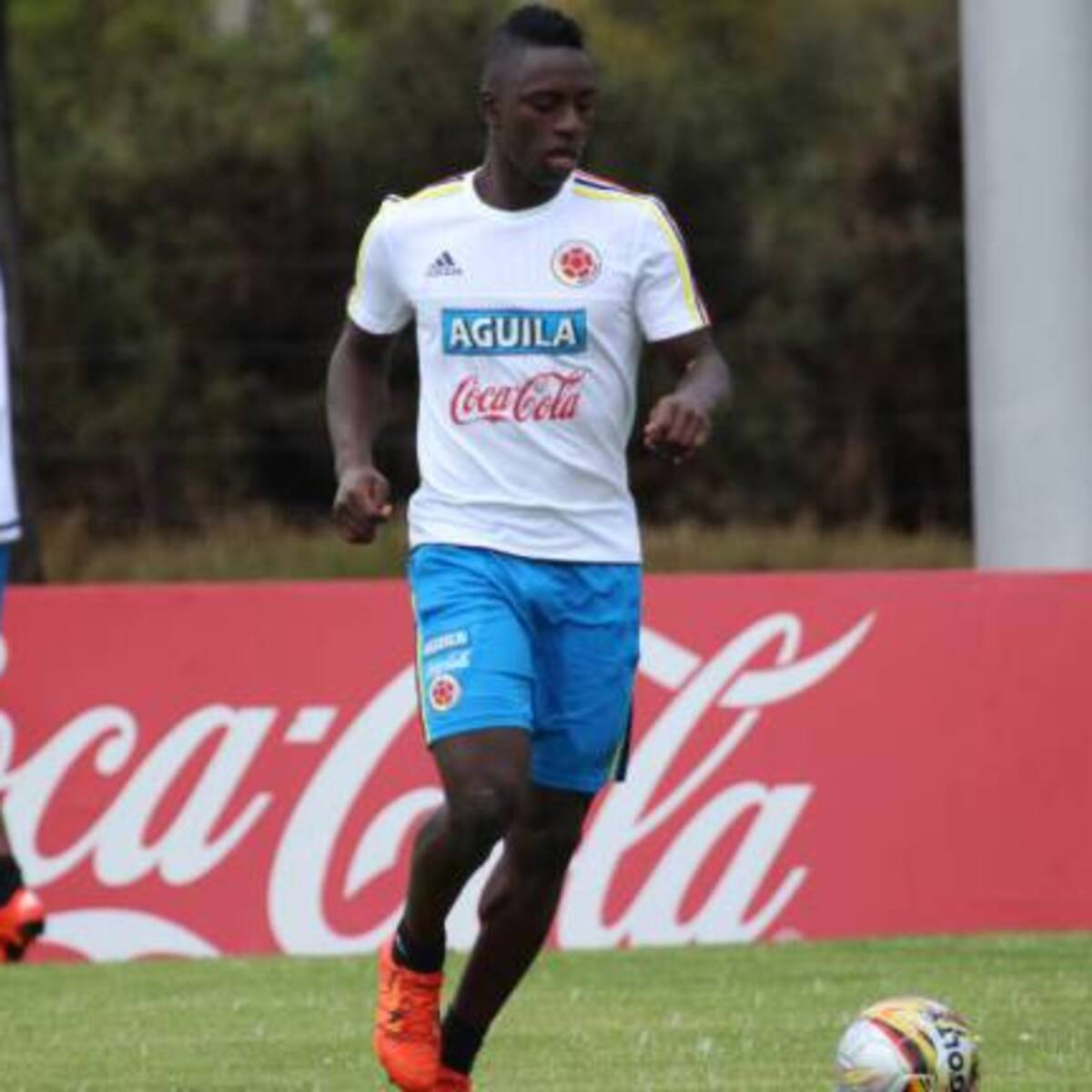 Alternativas que podría acercar Colombia antes del Mundial