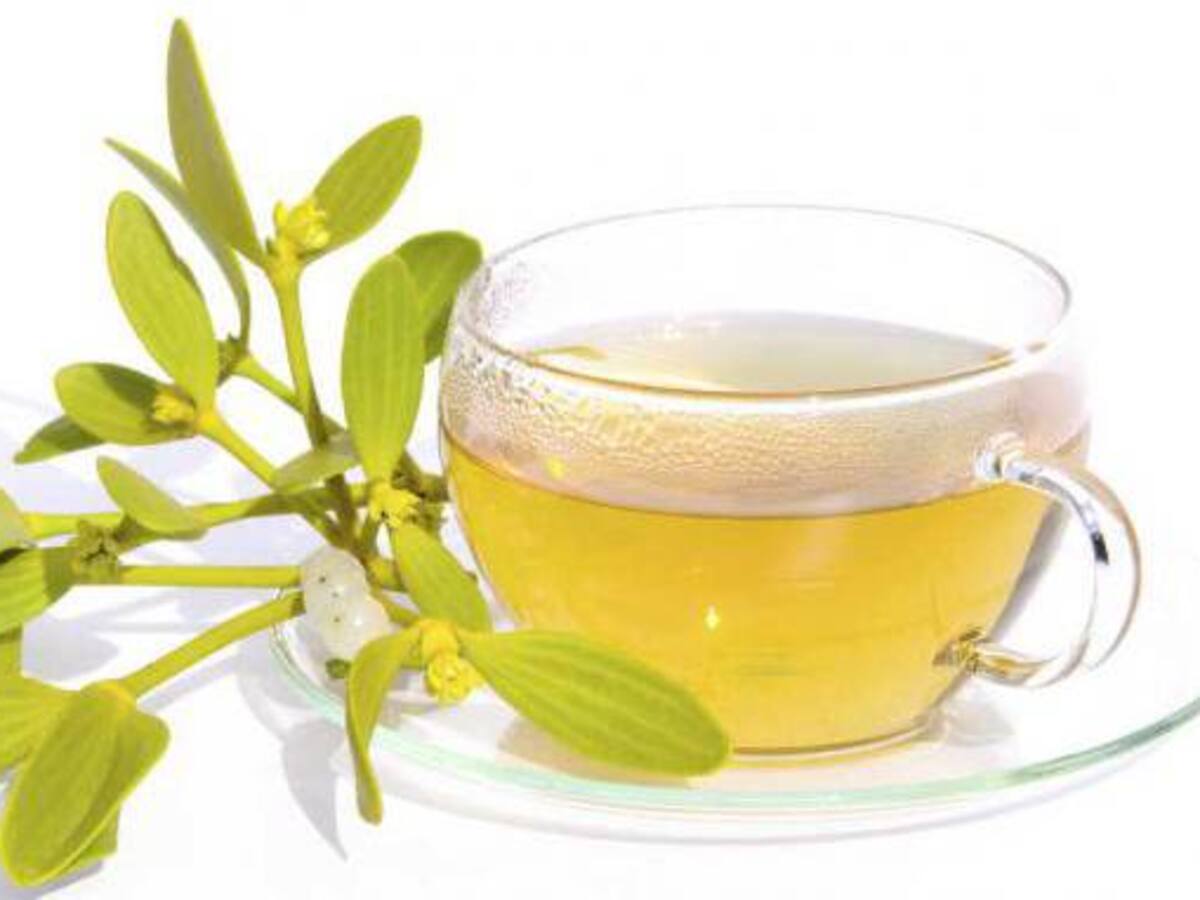 Las plantas medicinales, otra cátedra en escuela campesina