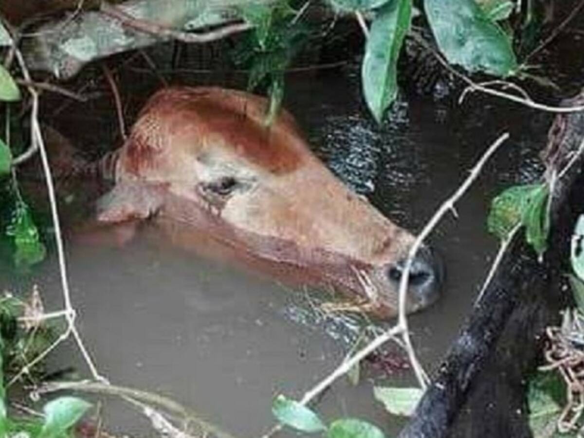 Cinco departamentos en alerta por fuertes lluvias