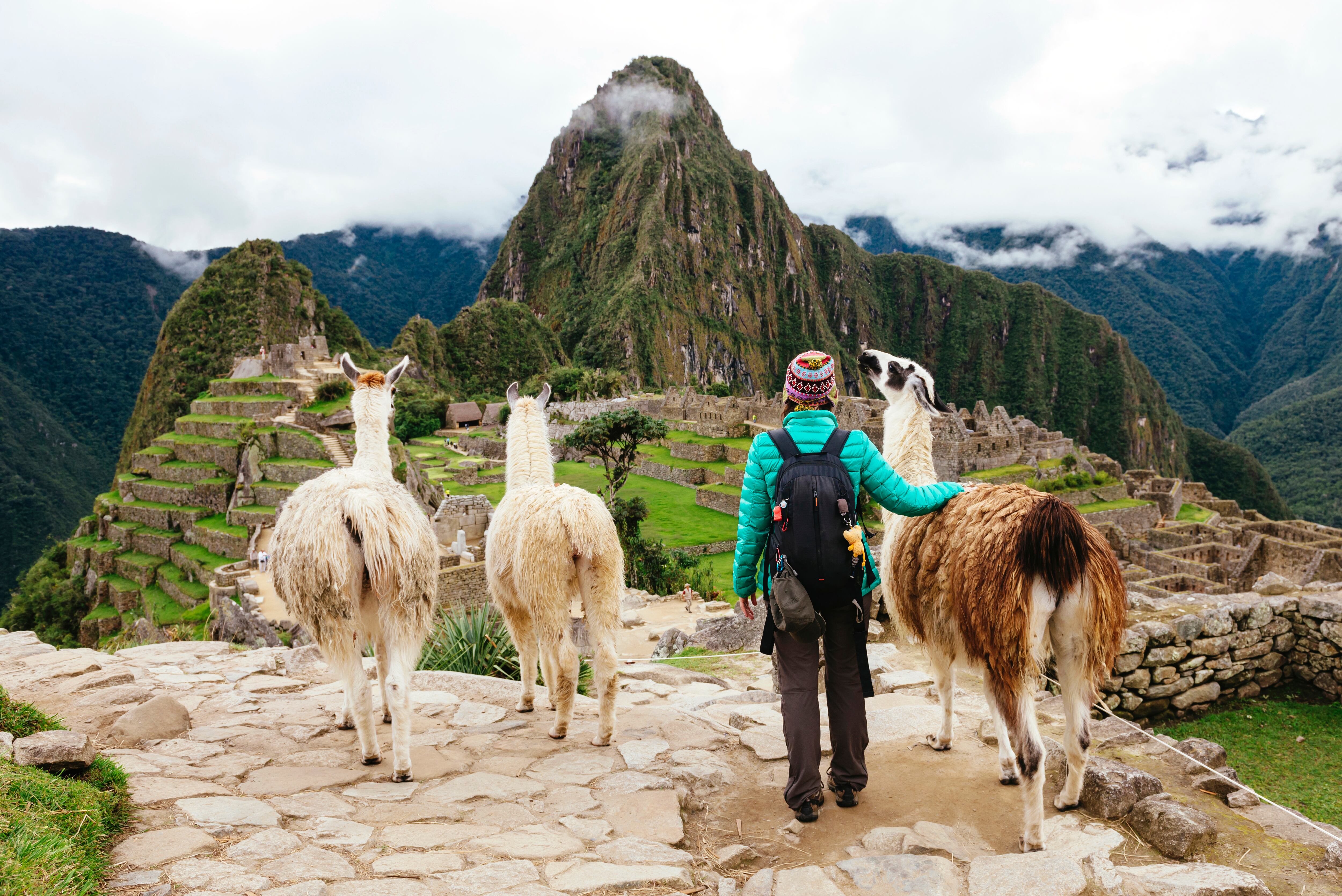 Mujer acompañada de tres llamas viendo en el fondo a Machu Picchu en Perú (Foto vía GettyImages)